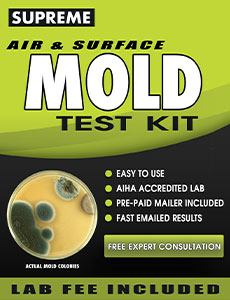 PRO-LAB DIY Mold Test Kit - LAB FEE Included (3 Test Methods: Air, Surface,  Bulk.)