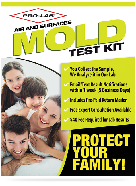 AMATEST - DIY Mold Detector for Home - Comprehensive Air and Surface Mold  Test Kit with Expert Analysis and Lab Fees Included - Reliable Detection  for Home Environments: : Industrial & Scientific