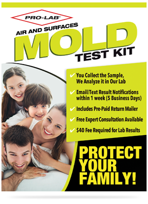AMATEST - DIY Mold Detector for Home - Comprehensive Air and Surface Mold  Test Kit with Expert Analysis and Lab Fees Included - Reliable Detection  for Home Environments: : Industrial & Scientific